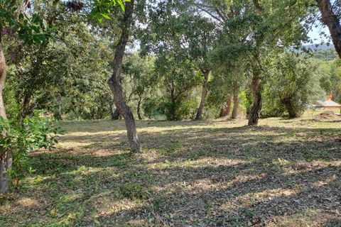 Terra a Calonge, Gerona, Calonge - € 69.000 | Ref: 2031 - foto 1